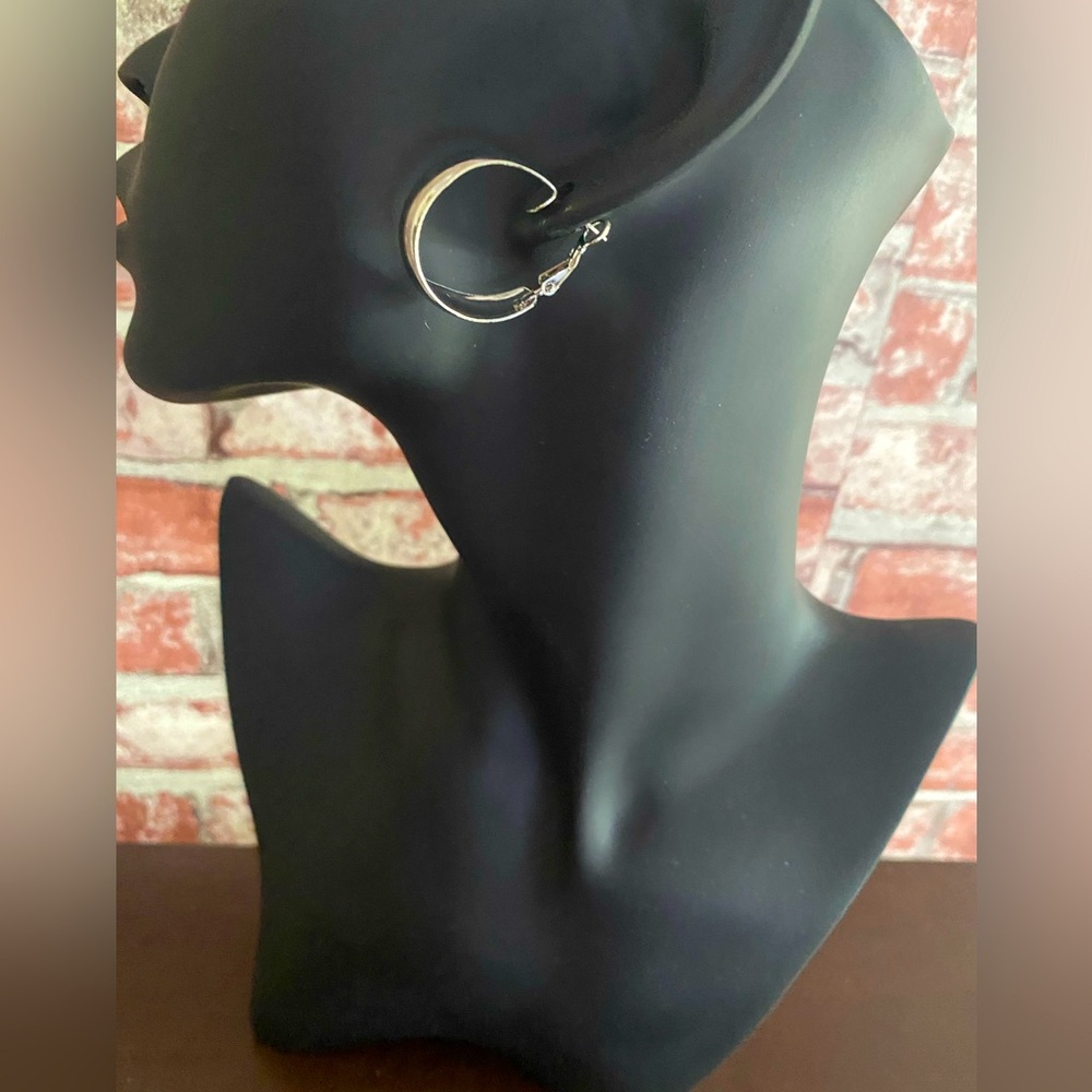 Classic Silver Hoop Earrings - NWOT